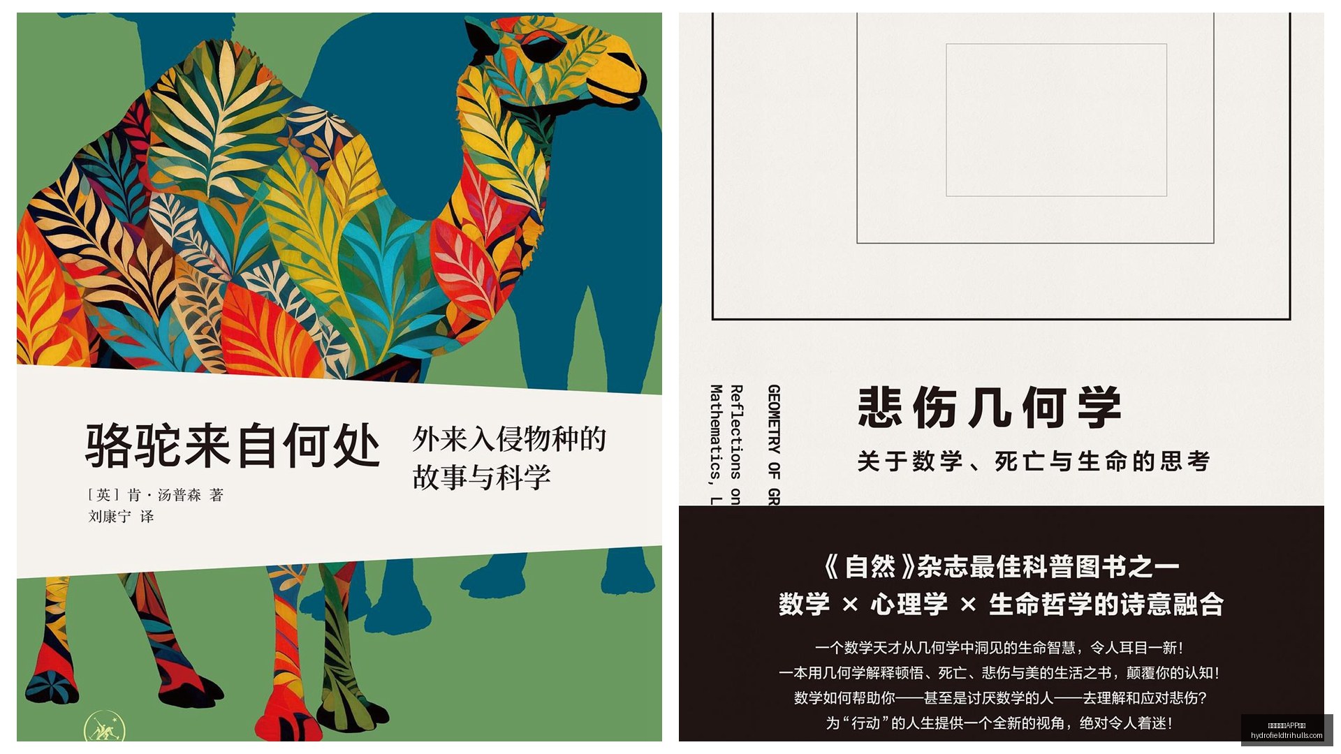 腾讯电竞公,益行动,点亮电竞梦,最新百家乐APP下载官网,最新百家乐APP下载App,最新百家乐APP下载官方网站,最新百家乐APP下载网页版,最新百家乐APP下载登录入口